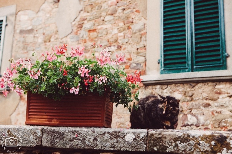 Castello Di Gargonza Wedding Tuscany