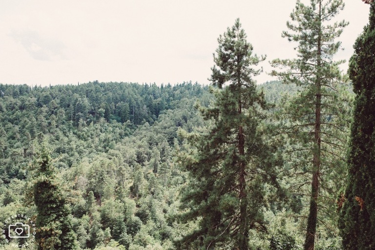 Castello Di Gargonza, Arezzo Wedding Venue
