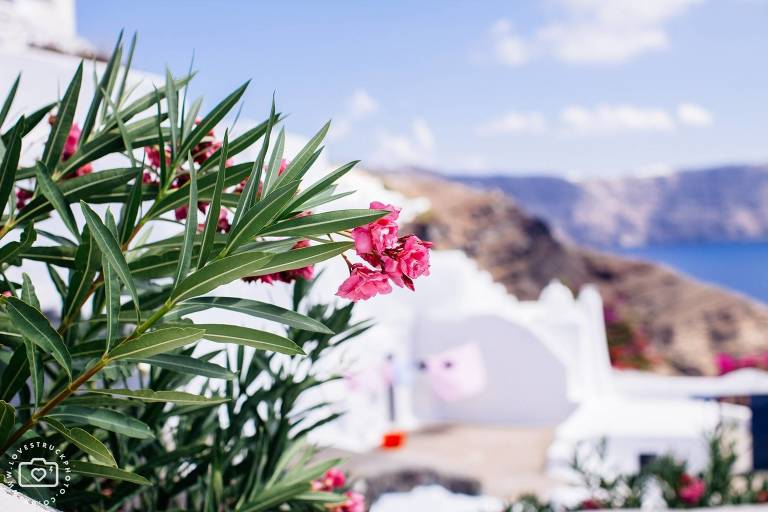 Santorini Oia Portrait Shoot