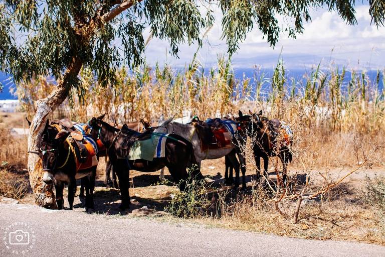 Destination Post Wedding Santorini Photoshoot