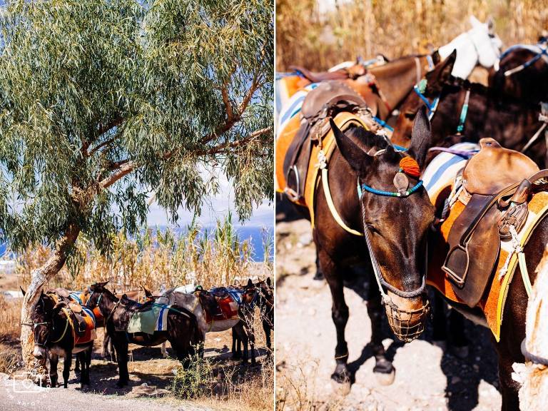 Destination Post Wedding Santorini Photoshoot