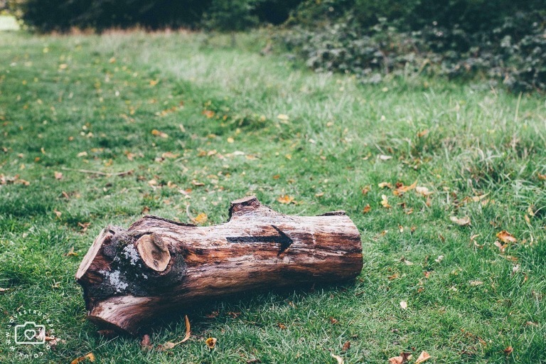 quirky outdoor london wedding, regents park wedding ceremony