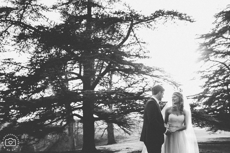 blenheim palace wedding photography, quicky wedding couple photoshoot, oxfordshire wedding portrait shoot, dreamy wedding portraits